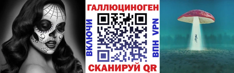 Галлюциногенные грибы Magic Shrooms  сколько стоит  Дзержинск 